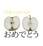 りんごの写真スタンプ（個別スタンプ：10）