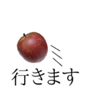 りんごの写真スタンプ（個別スタンプ：11）