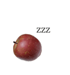 りんごの写真スタンプ（個別スタンプ：17）