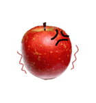 りんごの写真スタンプ（個別スタンプ：20）