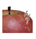 りんごの写真スタンプ（個別スタンプ：22）