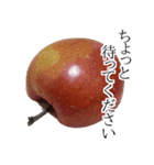 りんごの写真スタンプ（個別スタンプ：30）
