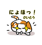 さいとうさん用猫スタンプ（個別スタンプ：19）