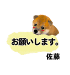 【子犬イラスト」佐藤さん用の名前スタンプ（個別スタンプ：1）