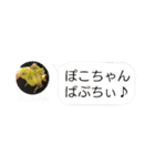 ゆきんゆのすけぶぽこちゃん仲良しスタンプ（個別スタンプ：36）