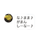 ゆきんゆのすけぶぽこちゃん仲良しスタンプ（個別スタンプ：39）