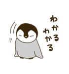 コウテイペンギンのスタンプ（個別スタンプ：5）