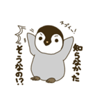 コウテイペンギンのスタンプ（個別スタンプ：22）