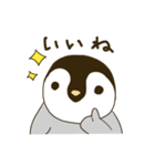 コウテイペンギンのスタンプ（個別スタンプ：24）