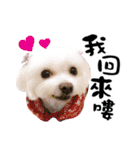 Tang ang＆PU PU（個別スタンプ：1）