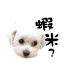 Tang ang＆PU PU（個別スタンプ：3）