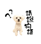 Tang ang＆PU PU（個別スタンプ：4）