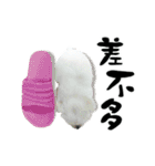 Tang ang＆PU PU（個別スタンプ：9）