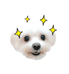 Tang ang＆PU PU（個別スタンプ：13）