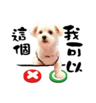 Tang ang＆PU PU（個別スタンプ：18）