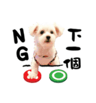 Tang ang＆PU PU（個別スタンプ：19）