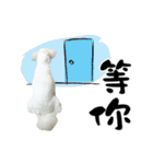Tang ang＆PU PU（個別スタンプ：23）