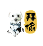 Tang ang＆PU PU（個別スタンプ：25）