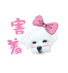 Tang ang＆PU PU（個別スタンプ：26）