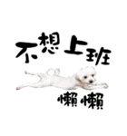 Tang ang＆PU PU（個別スタンプ：27）