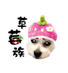 Tang ang＆PU PU（個別スタンプ：33）