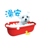Tang ang＆PU PU（個別スタンプ：39）