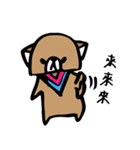 CatBear's life（個別スタンプ：9）