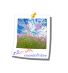 Message of Flower and nature photos（個別スタンプ：4）