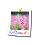 Message of Flower and nature photos（個別スタンプ：5）