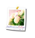Message of Flower and nature photos（個別スタンプ：21）