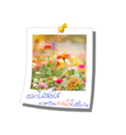 Message of Flower and nature photos（個別スタンプ：23）