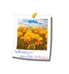 Message of Flower and nature photos（個別スタンプ：30）