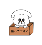 白い犬いぬまる2（個別スタンプ：9）