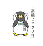 高橋ペンギン（個別スタンプ：7）