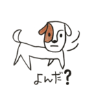 とっても可愛い犬（個別スタンプ：5）