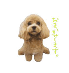 マルプー れもん（個別スタンプ：25）