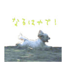 マルプー れもん（個別スタンプ：28）