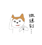 クセのある犬たち。（個別スタンプ：6）