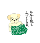 クセのある犬たち。（個別スタンプ：15）