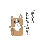 クセのある犬たち。（個別スタンプ：19）