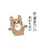 クセのある犬たち。（個別スタンプ：21）