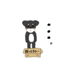 クセのある犬たち。（個別スタンプ：40）