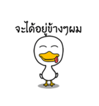 Crony Duckling（個別スタンプ：17）