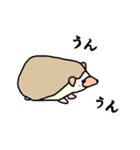 ハリネズミのこまる（個別スタンプ：20）