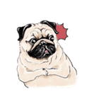 May the Pug be with you（個別スタンプ：3）