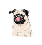 May the Pug be with you（個別スタンプ：4）