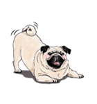 May the Pug be with you（個別スタンプ：7）