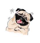 May the Pug be with you（個別スタンプ：9）