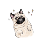 May the Pug be with you（個別スタンプ：20）