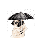 May the Pug be with you（個別スタンプ：25）